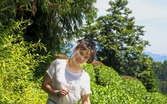 相爱十年全集下载